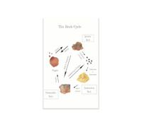 Geology Classroom Poster The Rock Cycle Diagram Igneous Sedimentary Metamorphic Science Class Wall Decor(Unframed,08x12inch(20x30cm))
