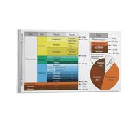 Geology Educational Poster Geologic Time Scale Earth History Timeline with Pie Chart Eon Era Period Epoch Science Wall Art Decor(Framed,16X24inch(40X60cm))