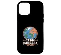 Geology "Together We Stand" Pangaea Case for iPhone 12 mini