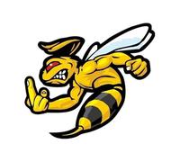 GEOLXD Various Sizes Funny Self-adhesive Decal Angry Wasp Hornet Car Sticker Auto Decors on Bumper Rear Window(-L PVC,15cm)