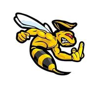 GEOLXD Various Sizes Funny Self-adhesive Decal Angry Wasp Hornet Car Sticker Auto Decors on Bumper Rear Window(-R PVC,25cm)