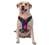 Geometric Drop Pattern Rainbow Pride Colors No Pull Dog Harness Adjustable Reflective Oxford Easy Control Medium Large Dog Harness