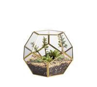 Geometric Glass Terrarium for Succulents - Elegant Brass Display Planter, Ideal for Weddings and Indoor Decor