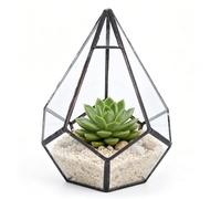 Geometric Glass Terrarium Pot, Teardrops Shape Planter for Succulent