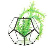 Geometric Glass Terrarium, Terrarium Planter Geometric Glass Container | Geometric Terrarium, Terrarium Container, Succulent Terrarium for Home Office Wedding Decor