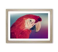 Geometric Scarlet Macaw Parrot in Abstract Framed Print | A2 Oak Framed Wall Art | Ready to Hang | Abstract Animal Picture | Living Room Bedroom Lounge Office