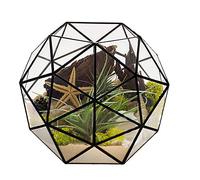 Geometric Terrarium Planter Glass Flower Pot Container Air Plant Display for Succulents Balcony Tabletop Miniature Fairy Garden Modern Decor
