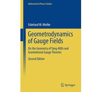 Geometrodynamics of Gauge Fields: On the Geometry of Yang-Mills and Gravitational Gauge Theories (Mathematical Physics Studies)