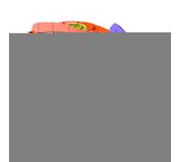 Geonoy Foldable Sliding Dinosaur Truck,Foldable Truck Dinosaur Toy - Toys for Toddler, Sliding Transport with Track and Die-cast Cars, for Kids 3-6