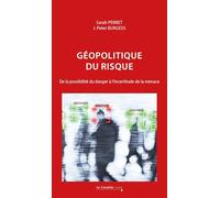 Géopolitique du risque: De la possibilité du danger à l'incertitude de la menace