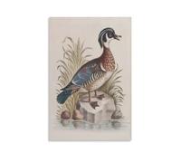 George Edwards Summer Duck Bird Animal Nature Illustration Vintage Classical Bohemian Canvas Printing Wall Art Prints Wall Decor Posters Living Room Bedroom Home Office 12x18inch(30x45cm)