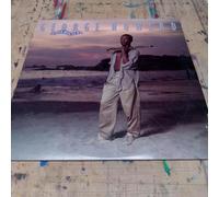 George Howard - A Nice Place To Be