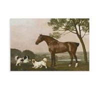 George Stubbs-A Bay Hunter with Two Playful Spaniels Canvas Poster Bedroom Decor Landscape Office Room Decor Gift Unframe-style 24x36inch(60x90cm)