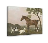 George Stubbs-A Bay Hunter with Two Playful Spaniels Canvas Poster Bedroom Decor Landscape Office Room Decor Gift Frame-style 12x18inch(30x45cm)