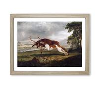 George Stubbs English Hound with a Stag Classic Painting Framed Print | A4 Oak Framed Wall Art | Ready to Hang | Classic Animal Picture | Living Room Bedroom Lounge Office