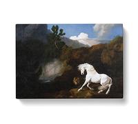 George Stubbs Horse Frightened by a Lion Classic Painting Canvas Wall Art Print Ready to Hang, Framed Picture for Living Room Bedroom Home Office Décor, 76x50 cm (30x20 Inch)