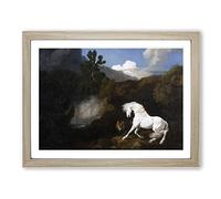 George Stubbs Horse Frightened by a Lion Classic Painting Framed Wall Art Print, Ready to Hang Picture for Living Room Bedroom Home Office Décor, Oak A3 (46 x 34 cm)