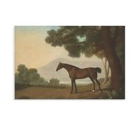 George Stubbs-Lord Clermont's Bay Racehorse Johnny, in A Wooded Landscape, with A Lake And Hills beyond Canvas Poster Wall Art Decor Print Picture Paintings for Living Room Bedroom Decoration Unframe-