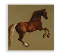 George Stubbs Whistlejacket Horse Art Print | Unframed Poster, 30x30 Inch