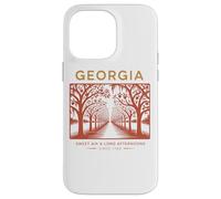 Georgia Sweet Air & Long Afternoons 1788 Case for iPhone 14 Pro Max