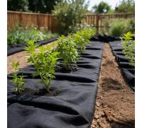 Geotextile membrane Black 1x150m Polyester fibre 150gsm Landscaping Drainage Pro