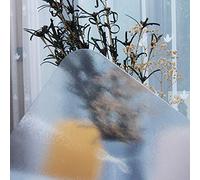 Geovne Soft Glass Transparent Tablecloth,Highly Durable Clear Table Cover Protector,PVC Matte Table Protector,Spill Proof Cover Mat,for Coffee Table,Dining Table,Writing Desk (60x100cm/24x39in)