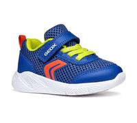 Geox B SPRINTYE BOY C Sneaker, Royal/Red, 6 UK Child