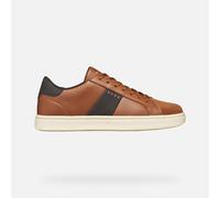 GEOX Baltmoore Man Cognac, Size: 45