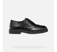 GEOX Bexford Man Black, Size: 43
