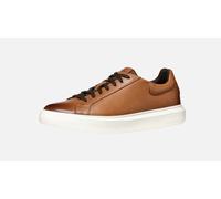 Geox Deiven Trainers Brown EU 43 Men