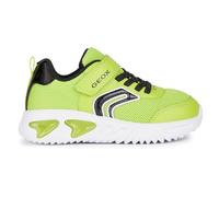 Geox Assister Trainers Green EU 30 Boys,Girls