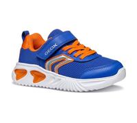 Geox J Assister BOY C Sneaker, Royal/Orange, 12.5 UK