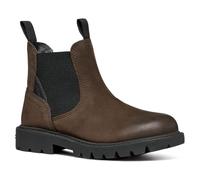 Geox J SHAYLAX BOY A Chelsea Boot, Coffee/Black, 4.5 UK