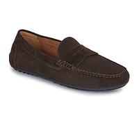 Geox Loafers / Casual Shoes U ISTRIA in Brown 7