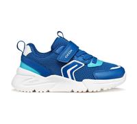 Geox Loftus Trainers
