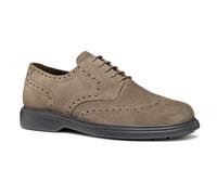 Geox Men's U OttavioOxford