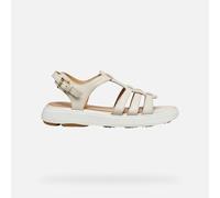 GEOX Nebula 2.0 C S Woman Papyrus, Size: 39