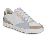 Geox Shoes (Trainers) D BLOMIEE C in Multicolour 6