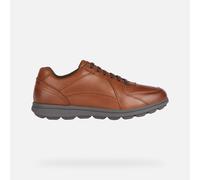 GEOX Spherica Ec12 Man Cognac, Size: 41