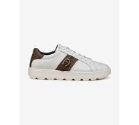 Geox, Spherica ECUB-1, trainers, pure white, brown, Women - 40