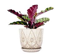 Gepege 8 Inch Plant Pot, Creamy White Ceramic Planter with Drainage Holes and Saucers for Plants Indoor and Outdoor Flower Pot