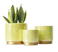 Gepege Indoor Pots for Plants, Ceramic Planter with Drainage Hole, 6.0 inch+5.0 Inch+4.0 Inch. Succulent Orchid Flower Pot - Rainbow Pearl Glaze