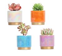 Gepege Succulent Pots for Plants, Succulent Planter with Drainage Holes, Ceramic Pot for Indoor Plant, Set of 4