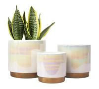 Gepege White Indoor Pots for Plants, Ceramic Planter with Drainage Hole, 6.0 inch+5.0 Inch+4.0 Inch. Succulent Orchid Flower Pot - Rainbow Pearl Glaze