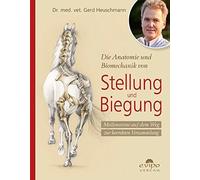 Gerd Heuschmann Die Anatomie und Biomechanik von Stellung und Biegung: Meilenste