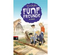 Gerda Raidt Enid Blyton Marita Moosh Fünf Freunde im Nebel (Einzelbän (Hardback)