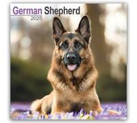 German Shepherd 2025 Square Wall Calendar | Dog Breed Calendar: Original Av NEW