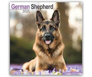 German Shepherd 2025 Square Wall Calendar | Dog Breed Calendar