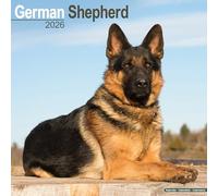 German Shepherd 2026 Calendar | Square Wall Calendar | Dog Breed Gift | Plastic Free Packaging | by Avonside Publishing
