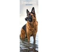 German Shepherd 2027 Slim Calendar